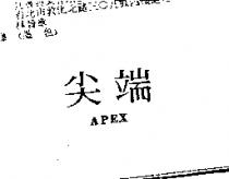 尖端 APEX