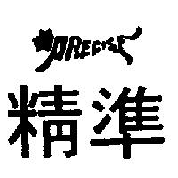 精準及圖 PRECISE