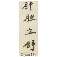 肝膽立舒 Condalis