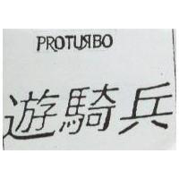 遊騎兵 PROTURBO