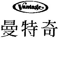 曼特奇及圖 Vantage