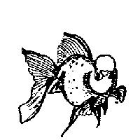金魚圖形