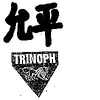 允平及圖 TRINOPH