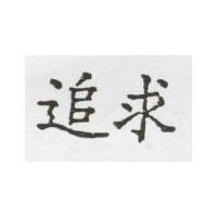 追求