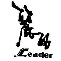 麗的 LEADER