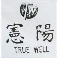 憲陽及圖 TRUE WELL
