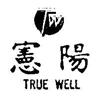 憲陽及圖 TRUE WELL