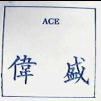 偉盛 ACE