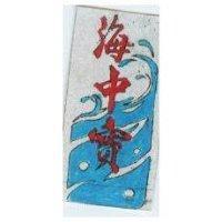 海中寶