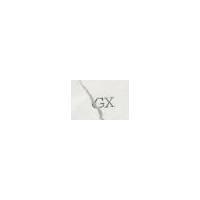 GX