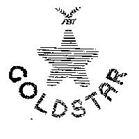 FBT GOLDSTAR & DESIGN