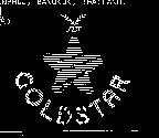 FBT GOLDSTAR & DESIGN