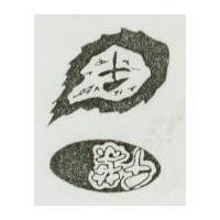 千葉及圖