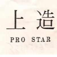 上造 PRO STAR