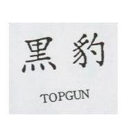 黑豹 TOPGUN