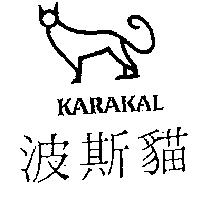 波斯貓及圖 KARAKAL