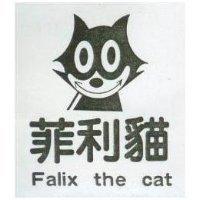 菲利貓 Falix the cat