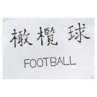 橄欖球 FOOTBALL