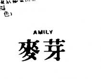 麥芽 AMILY