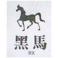黑馬及圖 RX
