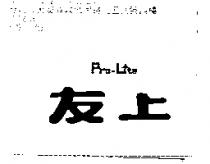 友上 PRO-LITE