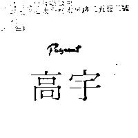 高宇 PAGEANT