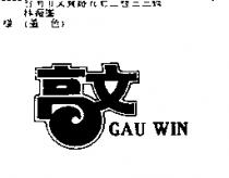 高文 GAU WIN