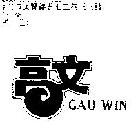 高文 GAU WIN