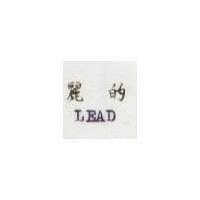 麗的 LEAD