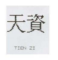 天資 TIEN ZI