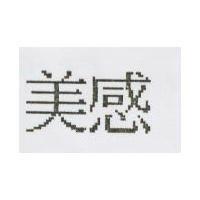 美感