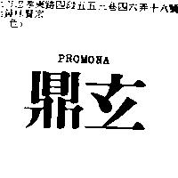 鼎玄 PROMONA