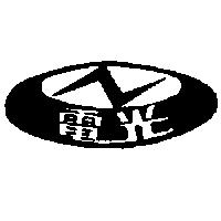 電光及圖