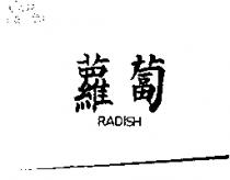 蘿蔔 RADISH