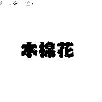 木棉花