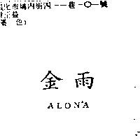 金雨 ALONA