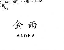 金雨 ALONA