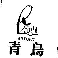 青鳥及圖 BRIGHT