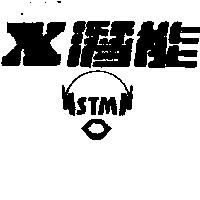 潛能及圖 STM