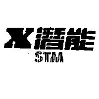 潛能及圖 STM