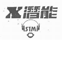 潛能及圖 STM