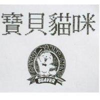 寶貝貓咪及圖 BEAVER