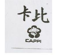 卡比及圖 CAPPI