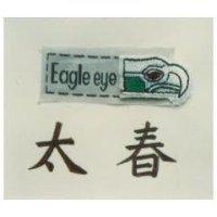 太春及圖 Eagle eye