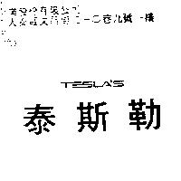 泰斯勒 TESLA'S