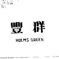 豐群 HOLMS GREEM