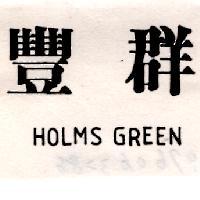 豐群 HOLMS GREEM