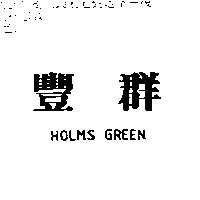 豐群 HOLMS GREEM