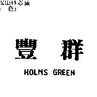 豐群 HOLMS GREEM