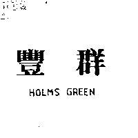 豐群 HOLMS GREEM